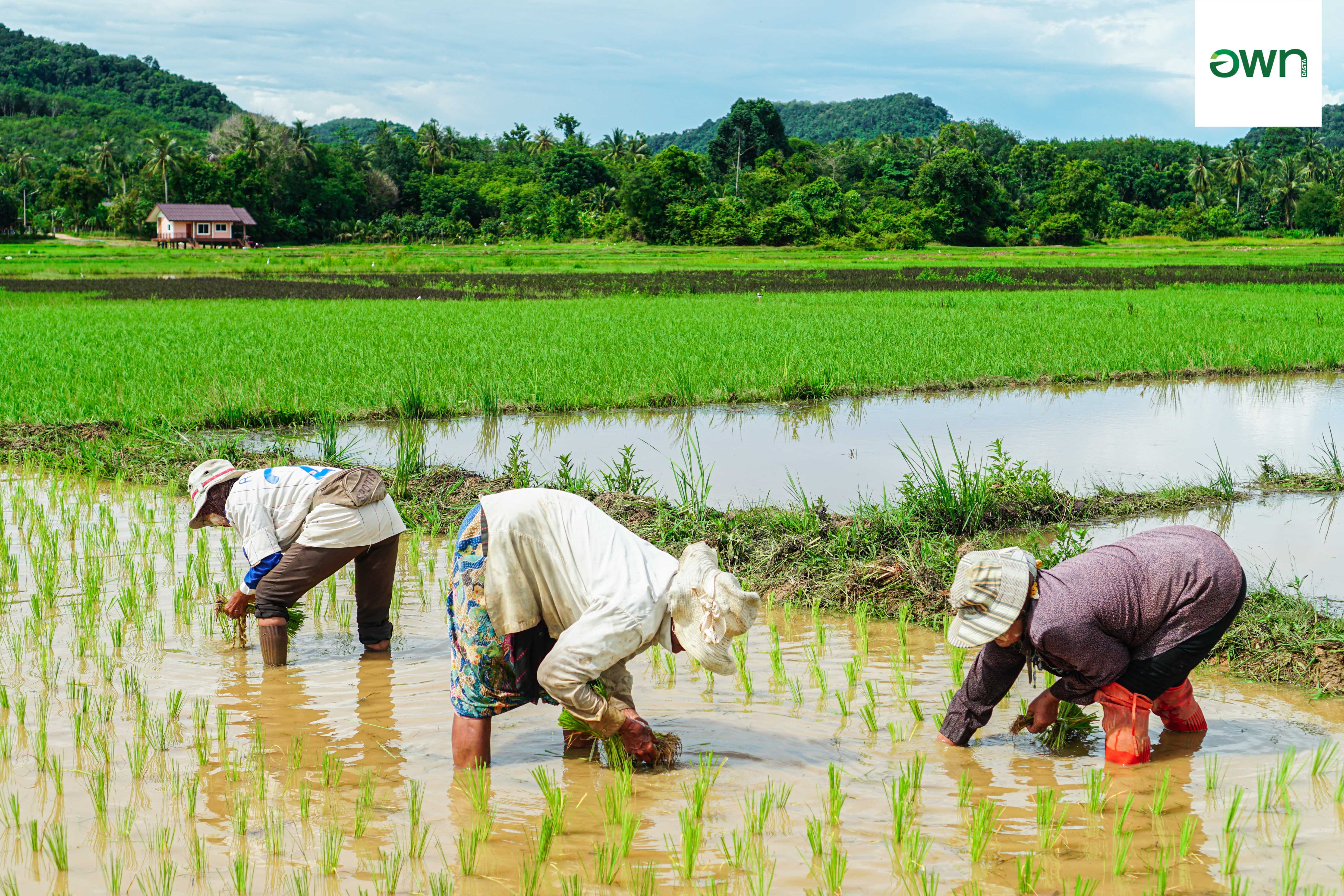 /images/reviewTravel/Baan Tha Khao/A6-2.jpg